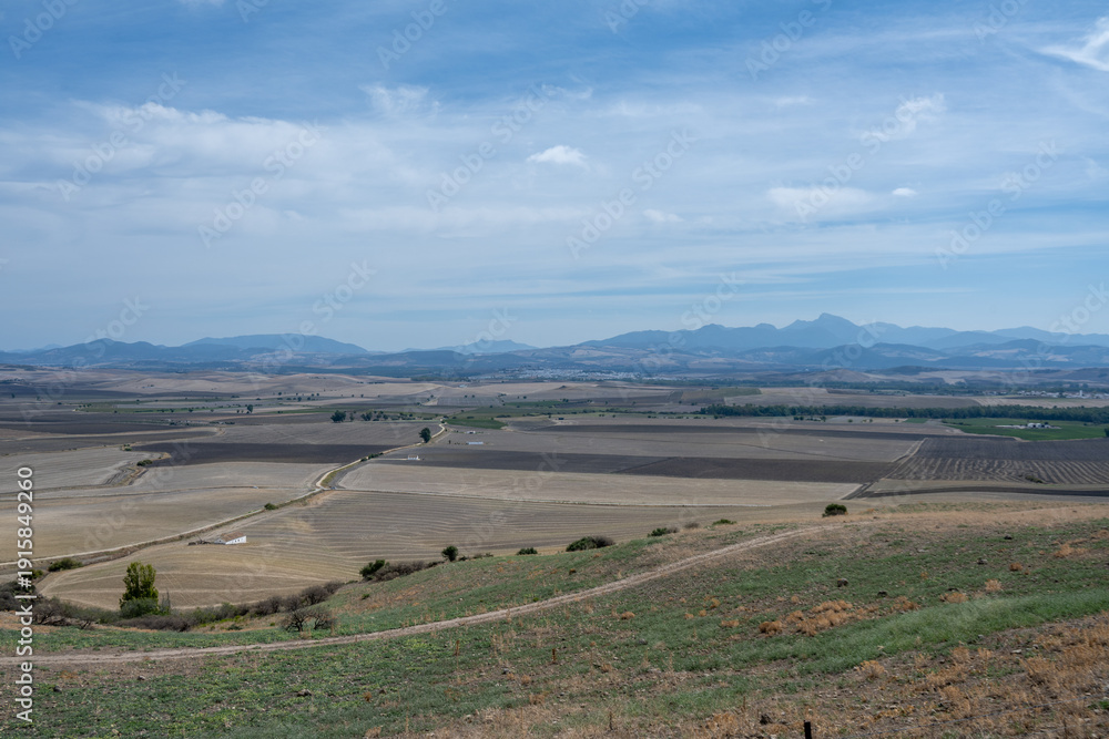 Obraz premium Panoramic Fields Around Carissa Aurelia