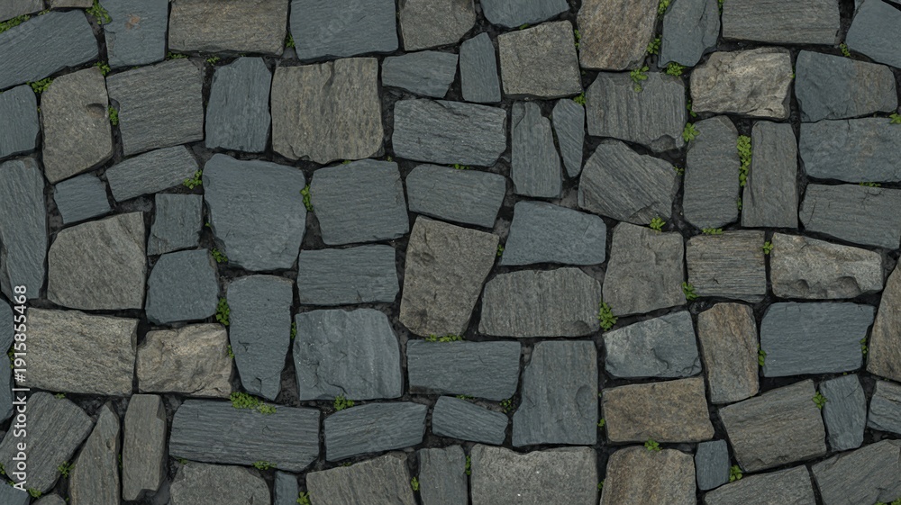 Fototapeta premium Gray stone pavement with small green plants growing through cracks