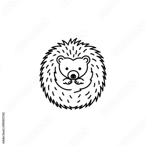 Cute hedgehog curled up in a ball with spikes