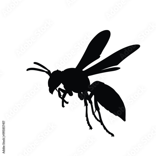 Black silhouette of a wasp in flight on white background