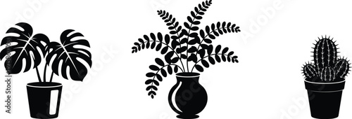 Black silhouette indoor plant collection, monstera leaves, cactus in pot, decorative foliage in vase, botanical houseplant illustration set