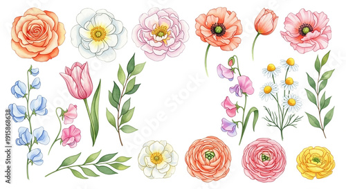 Watercolor flowers in pastel colors with soft lighting on white background for greeting cards