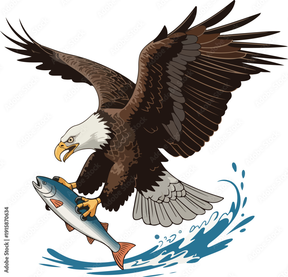 Obraz premium american bald eagle