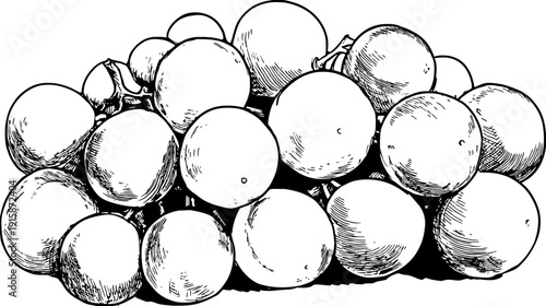 A black and white illustration of a bunch of round fruit. Features details of light and shade