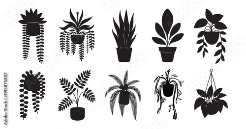 Set of potted houseplants and hanging plants in silhouette outline style