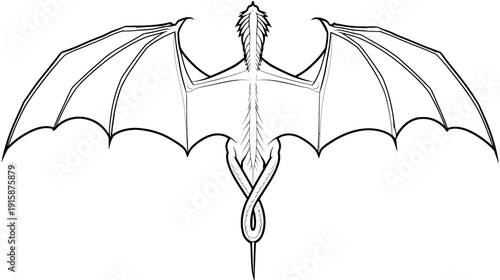 A black and white line art illustration of a dragon from a top down view, wings outspread