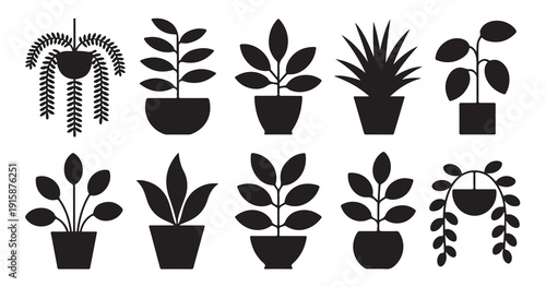 Diverse collection of indoor plants in pots and hanging planters silhouette