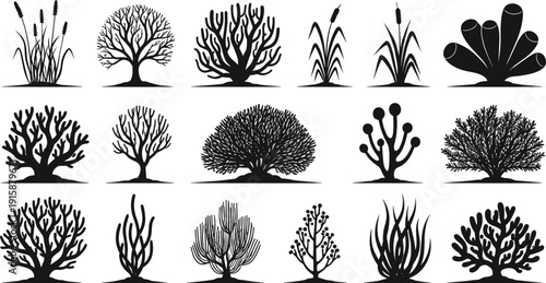 Collection of 16 black silhouette illustrations of aquatic plants and coral formations, ideal for marine biology, ocean-themed designs, and underwater ecosystem visuals.