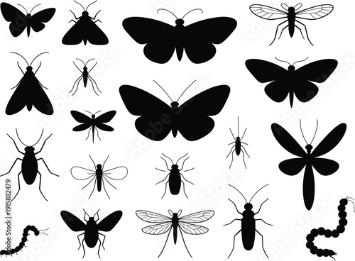 Insect silhouettes collection, butterflies, dragonflies, beetles, ants, flies, mosquitoes, moths, caterpillars, entomology diversity illustration design