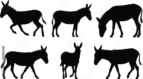 Silhouettes of donkeys in various poses, walking, grazing, standing, facing different directions, animal profiles for design and education