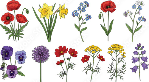 Colorful cartoon-style flower illustrations showcasing diverse botanical species for educational, decorative, floral design, gardening, and nature-themed creative projects