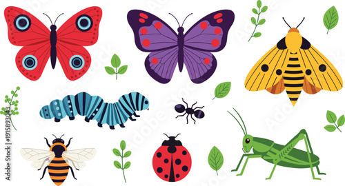 Colorful insect and plant illustration featuring butterflies, moths, ants, caterpillar, ladybug, bee, and grasshopper—ideal for educational design, nature art, and children’s content.