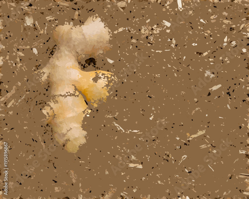 A close up view of a dandelion seed head in dirt