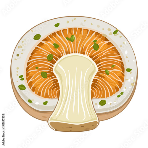 Segmented piece of golden chanterelle variety emphasizing rich internal fibers for upscale restaurant menu designs - Vector Illustration