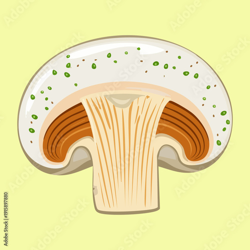 Whimsical forest toadstool with distinct ivory speckled patterns on crimson cap for fairytale storybook visuals - Vector Illustration