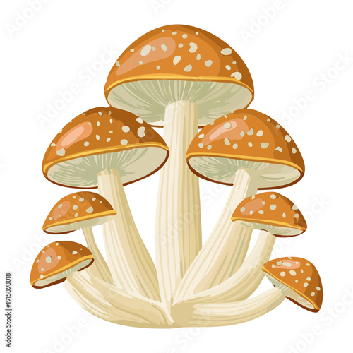 Triple brown amanita variation with decorative white dots for enchanted forest and magical kingdom backgrounds - Vector Illustration
