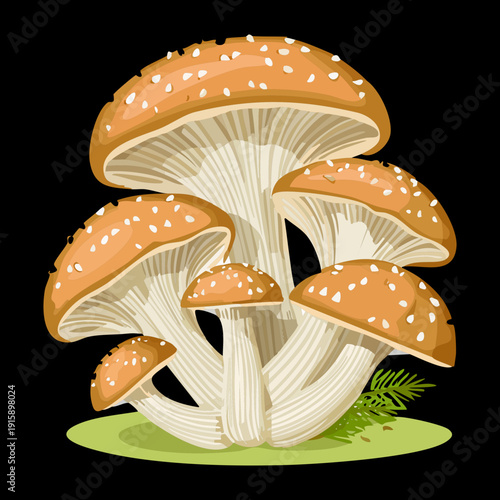 Assemblage of variegated mushrooms with stippled caps for wilderness survival guides and mycological field books - Vector Illustration