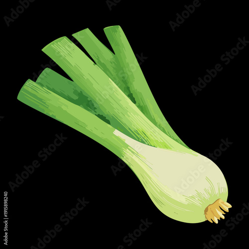 Green Leek Leaves For Healthy Kitchen Herbs And Organic Farming Industry Marketing Campaigns - Vector Illustration