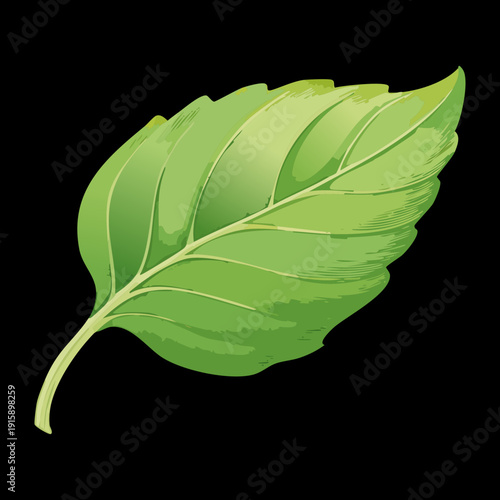Photos Vibrant Green Foliage For Healthy Environmental Awareness And Organic Plant Grow
