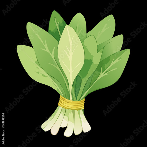 Spinach Bundle For Healthy Green Smoothies And Organic Farm Produce Market Advertising Assets - Vector Illustration