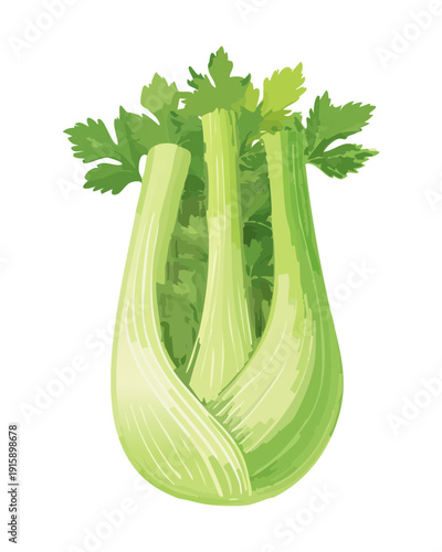 Healthy Celery Stalk For Natural Diet Support And Organic Culinary Ingredient Design Projects - Vector Illustration