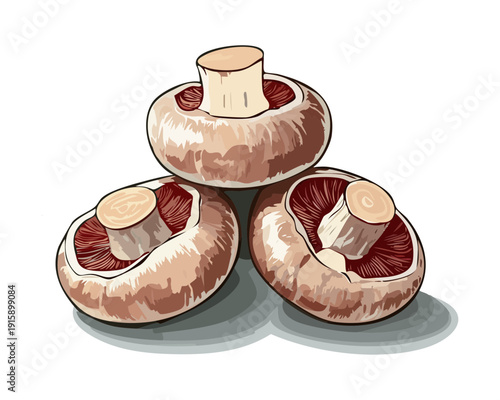 Assemblage of brown fungi for rural farm cooperative logos and sustainable harvest festivals - Vector Illustration