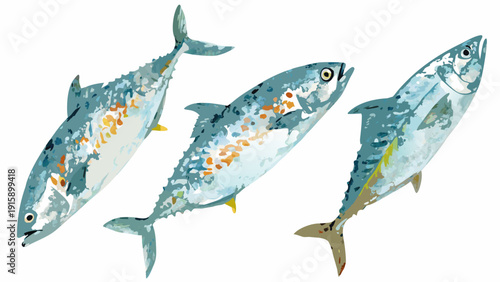 Watercolor illustration of three mackerel fish swimming in a composition