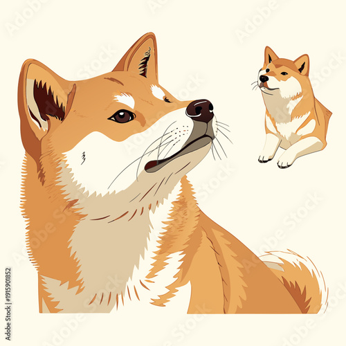 Set of cute Shiba Inu dog in different poses, detailed flat vector illustration isolated on white background
