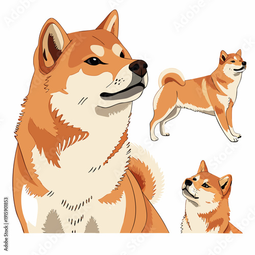 Set of cute Shiba Inu dog in different poses, detailed flat vector illustration isolated on white background