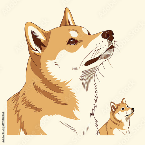Set of cute Shiba Inu dog in different poses, detailed flat vector illustration isolated on white background