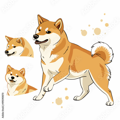 Set of cute Shiba Inu dog in different poses, detailed flat vector illustration isolated on white background