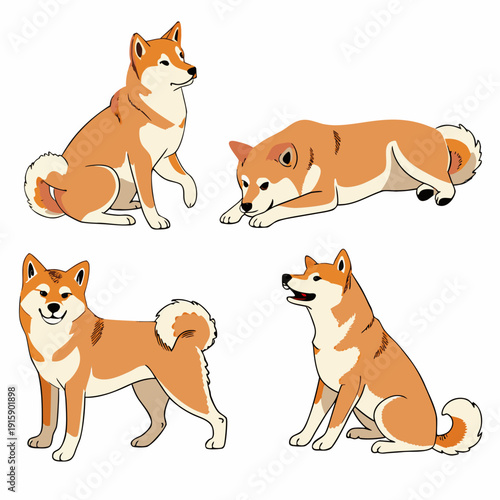 Set of cute Shiba Inu dog in different poses, detailed flat vector illustration isolated on white background