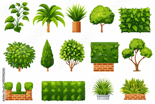 Assorted potted and shaped green plants and foliage illustrations