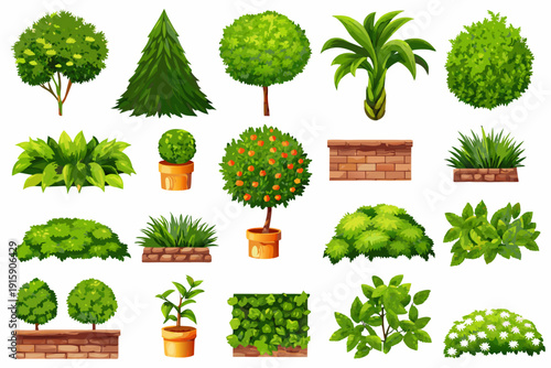 Collection of various green shrubs trees and plants on a white background