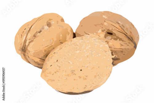 A small cluster of tan apricots with textured skins and subtle variations