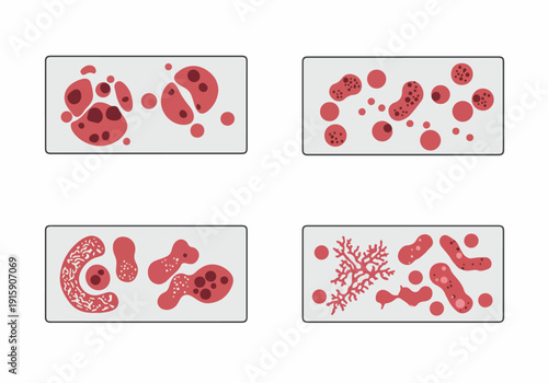 Abstract microscopic views illustrating diverse cellular structures, blood components, and potential microbial forms on laboratory slides.
