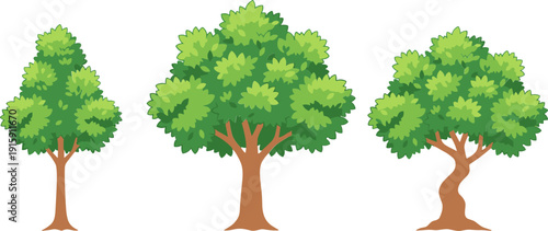 Horizontal set of three deciduous tree icons with different canopy shapes in flat vector style,