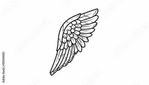 Black and White Angel Wing Illustration, Feather Detail, Isolated on White Background