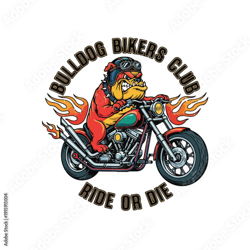 Bulldog Biker riding motorcycle with flames
