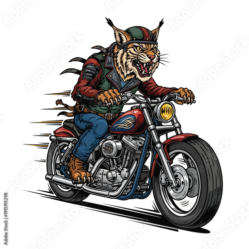 Wildcat Biker Riding Motorcycle