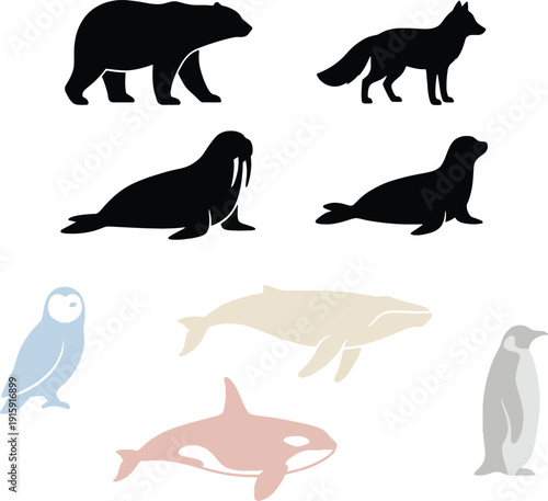 Collection of illustrated arctic animals in silhouette, including a bear, fox, walrus, seal, owl, orca, whale, and penguin