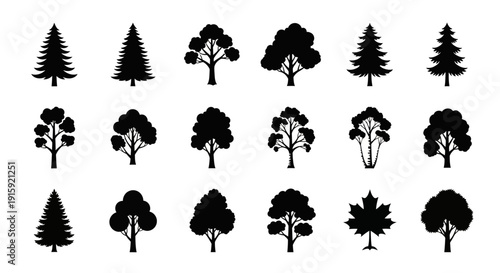 Set of Diverse Tree Silhouettes: Evergreen, Deciduous, Maple Leaf Icons