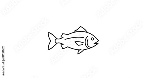 Outline illustration of a single fish on a white background