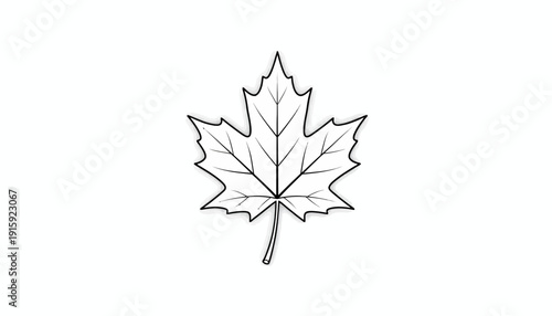 Maple Leaf Outline Vector Illustration, Canadian Symbol, Autumn Leaf Icon