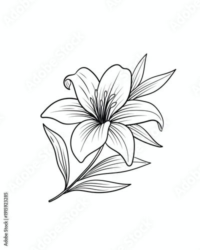 Elegant black and white line art of a blooming lily with detailed petals and leaves, perfect for coloring pages, tattoos, and decor