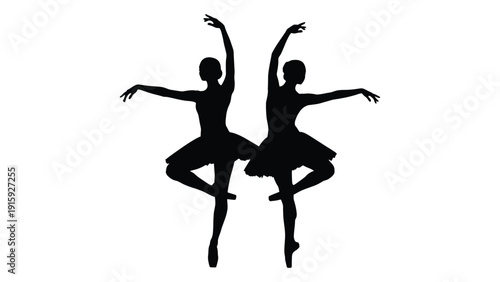 Two ballet dancers in mid-performance with arms and legs extended gracefully. isolated on white background, Vector