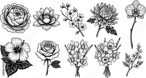 Hand Drawn Flower Collection Vector Illustration Rose Lotus Orchid Chrysanthemum Floral Botanical Design Set