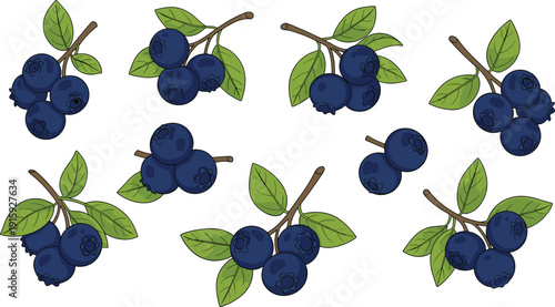 Hand Drawn Blueberry Pattern Illustration With Fresh Berries Leaves Isolated On White Background