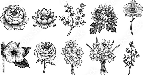 Hand drawn flower collection with rose lotus orchid chrysanthemum botanical floral vector illustration set design