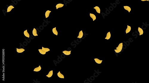 Spring Flowers Yellow Leaf Petals Falling Background Overlay Animation Video